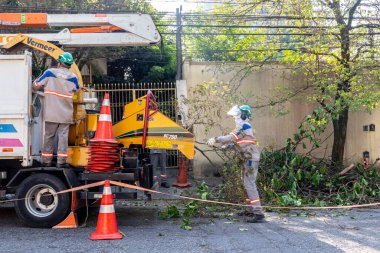 Sao Paulo, Brezilya, Eylül 08, 2021. Belediye çalışanları Sao Paulo 'nun güneyinde ağaç kesme işini üstlendi.
