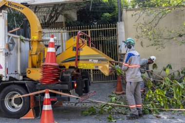 Sao Paulo, Brezilya, Eylül 08, 2021. Belediye çalışanları Sao Paulo 'nun güneyinde ağaç kesme işini üstlendi.