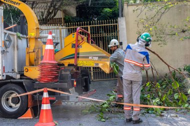 Sao Paulo, Brezilya, Eylül 08, 2021. Belediye çalışanları Sao Paulo 'nun güneyinde ağaç kesme işini üstlendi.