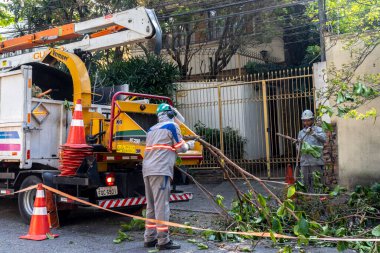Sao Paulo, Brezilya, Eylül 08, 2021. Belediye çalışanları Sao Paulo 'nun güneyinde ağaç kesme işini üstlendi.