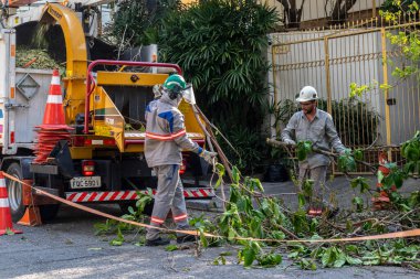 Sao Paulo, Brezilya, Eylül 08, 2021. Belediye çalışanları Sao Paulo 'nun güneyinde ağaç kesme işini üstlendi.