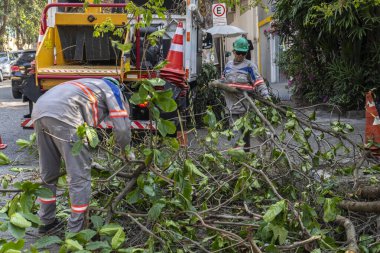 Sao Paulo, Brezilya, Eylül 08, 2021. Belediye çalışanları Sao Paulo 'nun güneyinde ağaç kesme işini üstlendi.