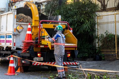 Sao Paulo, Brezilya, Eylül 08, 2021. Belediye çalışanları Sao Paulo 'nun güneyinde ağaç kesme işini üstlendi.