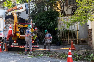 Sao Paulo, Brezilya, Eylül 08, 2021. Belediye çalışanları Sao Paulo 'nun güneyinde ağaç kesme işini üstlendi.