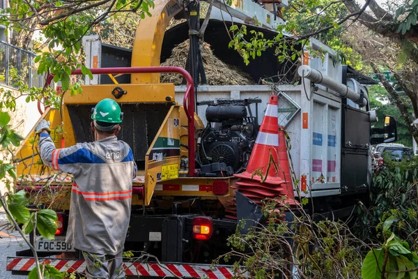 Sao Paulo, Brezilya, Eylül 08, 2021. Belediye çalışanları Sao Paulo 'nun güneyinde ağaç kesme işini üstlendi.