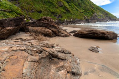 Güneşli bir günde sahilde kayalar ve ağaçlar. Brezilya 'da Atlantik Ormanı