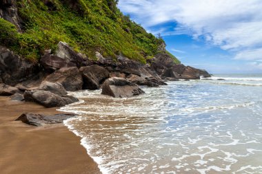 Güneşli bir günde sahilde kayalar ve ağaçlar. Brezilya 'da Atlantik Ormanı