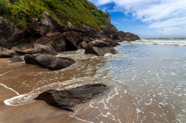Güneşli bir günde sahilde kayalar ve ağaçlar. Brezilya 'da Atlantik Ormanı
