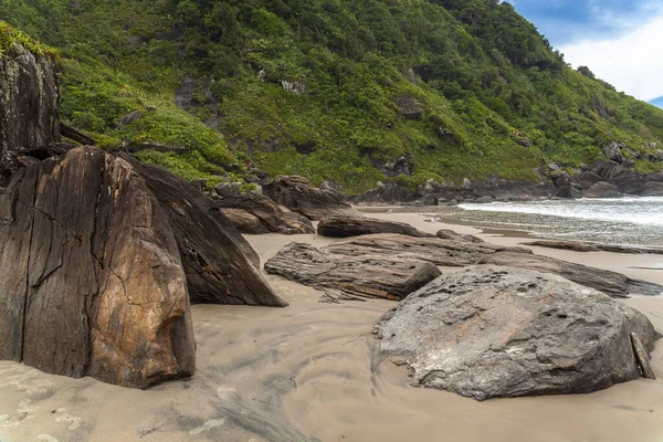 Klippor Och Träd Vid Stranden Vacker Solig Dag Atlantskogen Brasilien — Stockfoto