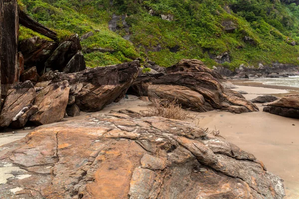 아름다운 해변에 바위와 나무들 브라질 — 스톡 사진