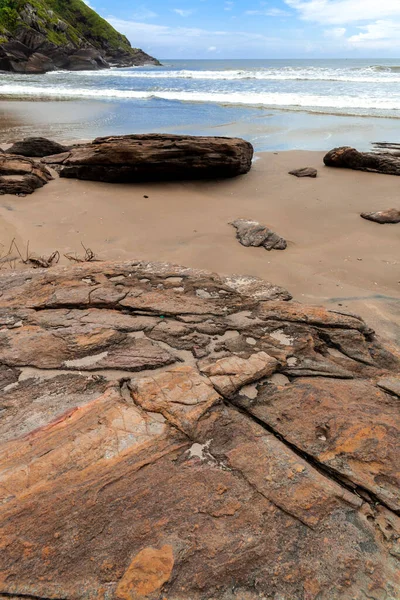 Klippor Och Träd Vid Stranden Vacker Solig Dag Atlantskogen Brasilien — Stockfoto