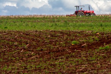 Parana, Brezilya 27 Ekim 2009: Parana State çiftlikte soya ekim sezonu