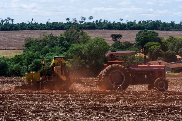 2009年10月27日閲覧 ブラジルのトウモロコシ畑での大豆栽培の季節 — ストック写真