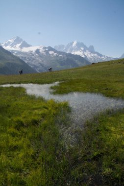 Charamillon Chamonix 'de Haute Savoie, Fransa