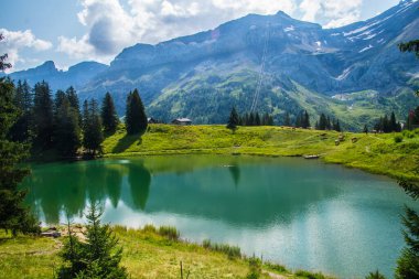İsviçre 'de Valais' de Retaud Gölü 'nde diableretler