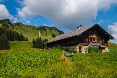 İsviçre 'de Valais' de Retaud Gölü 'nde diableretler