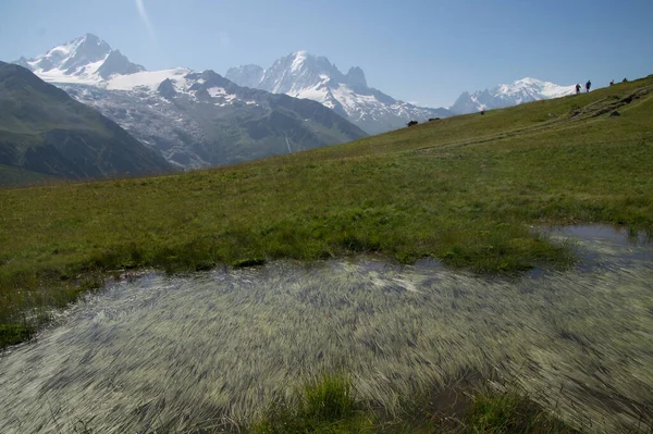 Charamillon Chamonix 'de Haute Savoie, Fransa