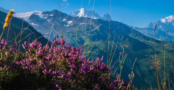 Charamillon Chamonix 'de Haute Savoie, Fransa