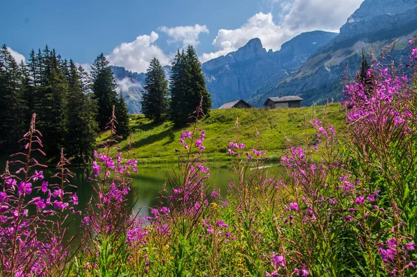 Les Diablerets See Von Retaud Wallis Der Schweiz — Stockfoto