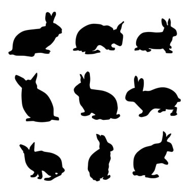 İzole edilmiş tavşan siluetleri koleksiyonu izole edilmiş tavşan siluetleri koleksiyonu