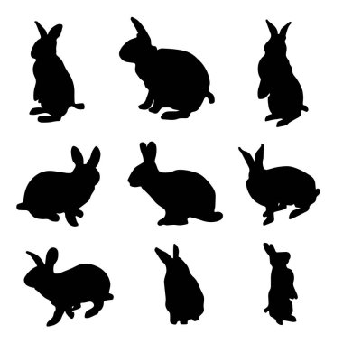 İzole edilmiş tavşan siluetleri koleksiyonu izole edilmiş tavşan siluetleri koleksiyonu