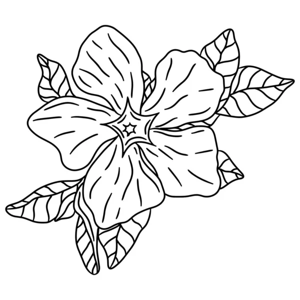 Flower Black Line Contour Coloring Book Page Flower Vector Coloring — Vettoriale Stock