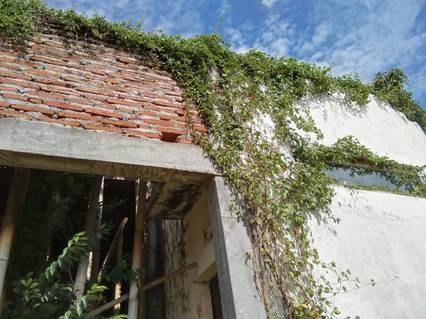 Stock image abandoned house that ends up overgrown with creeping weeds and nature takes back control