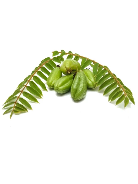Yıldız meyvesinin bilimsel adı Averrhoa bilimbi L. 