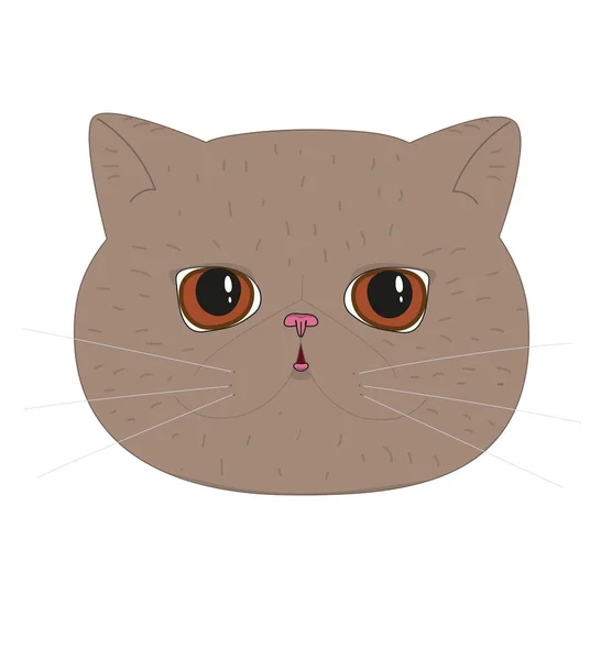 Εικονογράφηση Διάνυσμα Της Εξωτικής Γάτας Καφέ Χρώμα Απομονώνονται Λευκό Φόντο — Διανυσματικό Αρχείο