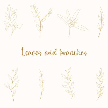 Soluk arkaplanda altın yapraklar ve dallar. Çeşitli çiçek elementlerinin el çizimleri. Zarif tasarım