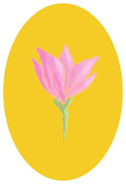 Sarı oval alanda el yapımı pembe çiçek. Botanik ikonu. Vektör illüstrasyonu