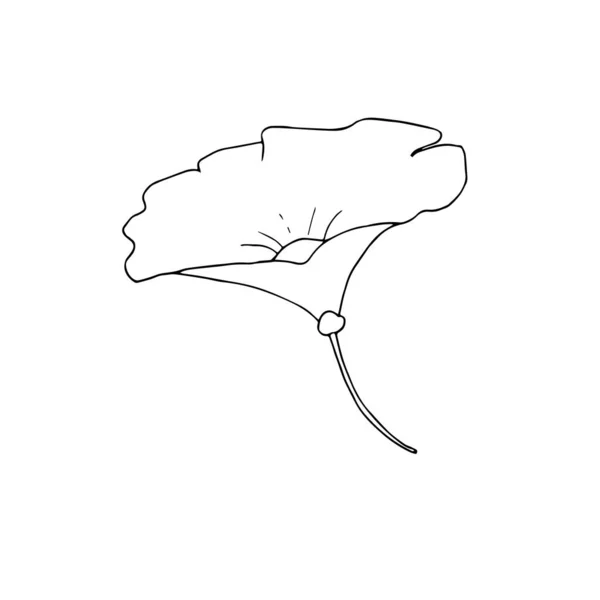 Einfache Handgezeichnete Blume Isoliert Auf Weißem Hintergrund Vektorkunst — Stockvektor