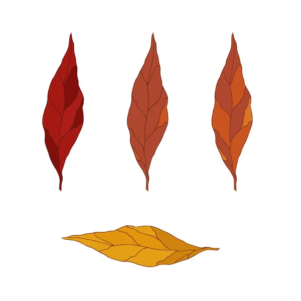Folhas Desenhadas Mão Diferentes Cores Outono Objetos Isolados Arte Vetorial — Vetor de Stock