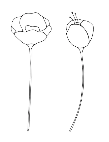 Піктограма Квітки Макарони Чорна Лінія Рук Намальовані Квіткові Елементи Ізольовані — стоковий вектор