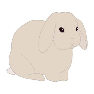 Oturan tavşan vektör sanatı. Sevimli basit el çizimi tavşancık. Hayvan izole edilmiş. Evcil hayvan simgesi