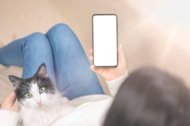 Cep telefonunun kadın ellerinde boş ekranlı görüntüsü. Kedi arkada dinleniyor. Sıcak ev atmosferi. Bulanık arkaplanda akıllı telefon kullanan kadın eller