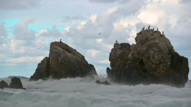 Deniz dalgaları kıyıdaki kayalara çarpar ve bir su patlaması yaratır. Okyanus dalgası Rocky Sahili 'ne çarpıyor.