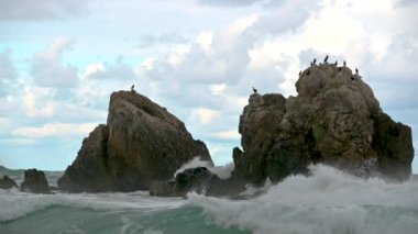 Deniz dalgaları kıyıdaki kayalara çarpar ve bir su patlaması yaratır. Okyanus dalgası Rocky Sahili 'ne çarpıyor.