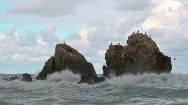 Deniz dalgaları kıyıdaki kayalara çarpar ve bir su patlaması yaratır. Okyanus dalgası Rocky Sahili 'ne çarpıyor.