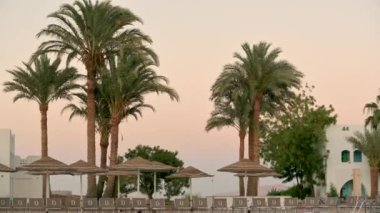 Gün batımında palmiye ağaçları ve havuzu olan bir tatil köyü. Tropikal tatil köyünde güzel lüks bir yüzme havuzu. Tatil köyündeki açık yüzme havuzu