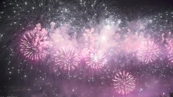 Πυροτεχνήματα Στο Φόντο Του Νυχτερινού Ουρανού Φανταστικά Πυροτεχνήματα Που Εκρήγνυνται — Αρχείο Βίντεο