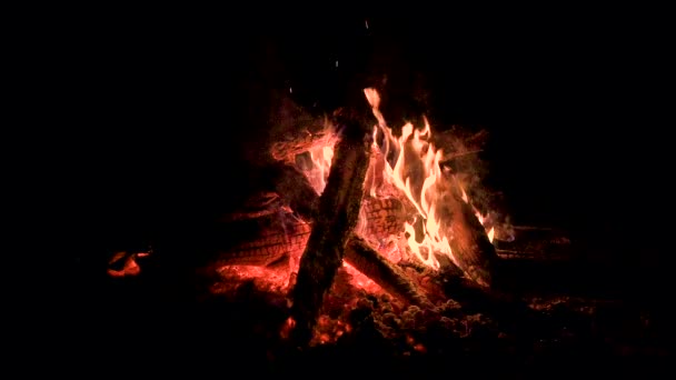 Lagerfeuer Der Nacht Nahaufnahme Flammen Aus Dem Feuer Nächtliches Lagerfeuer — Stockvideo