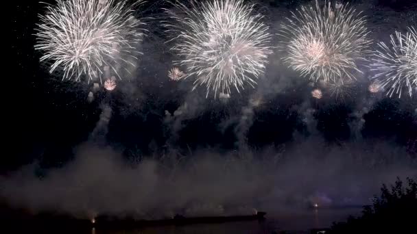 夜空を背景に花火 スローモーションで黒を背景に爆発幻想的な花火 美しい新年の花火 — ストック動画