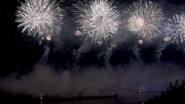 Gece Gökyüzünün Arka Planında Havai Fişekler Kara Arkaplanda Yavaş Çekimde — Stok video