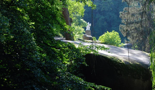 Belle Vue Sur Rivière Les Rochers Dans Forêt Été — Photo