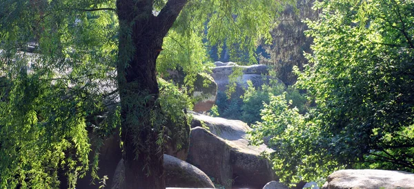 夏日森林中的河流和岩石美丽的景色 — 图库照片
