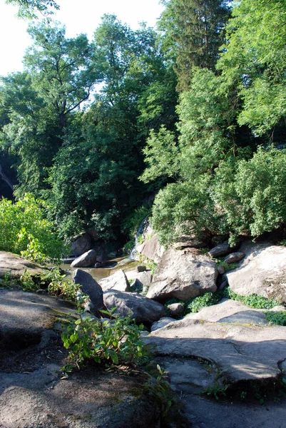 Beau Paysage Avec Des Pierres Des Plantes — Photo