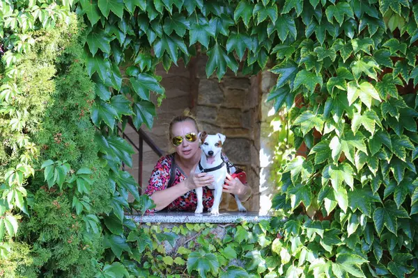 Aranyos Kislány Kutyával Kertben — Stock Fotó