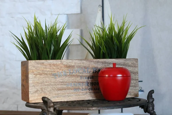 Grüne Pflanze Topf Auf Einem Holztisch — Stockfoto