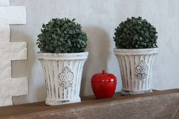 鉢の中に装飾草の花瓶 — ストック写真